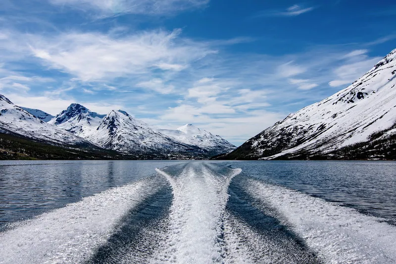 Guided Fjord Tours