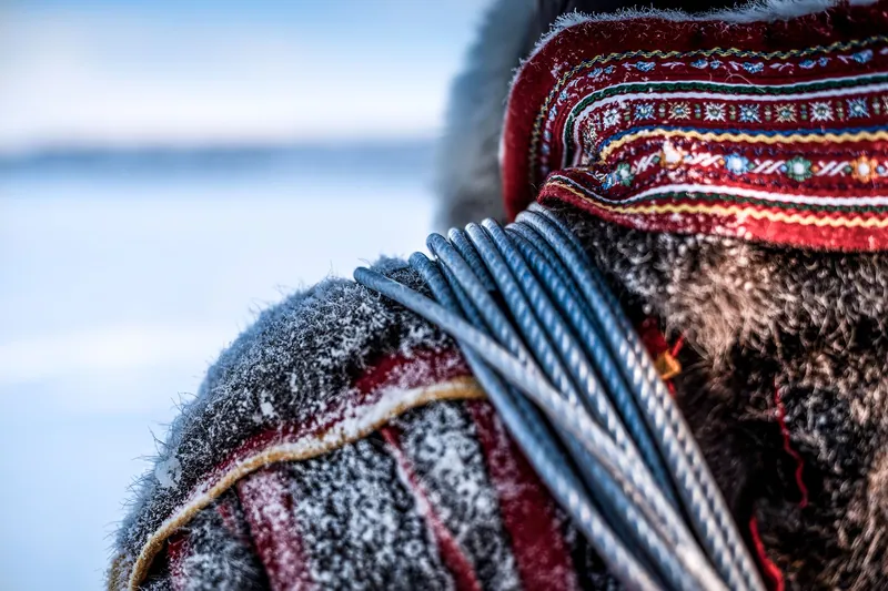 Sami Culture