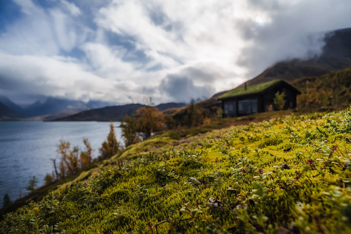 Chalet with turf roof on the mossy slope above the fjord